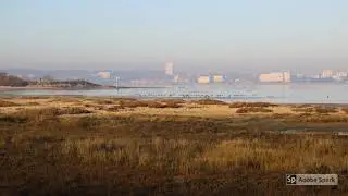 Coup de froid sur le Bassin : la Hume givr&eacute;e