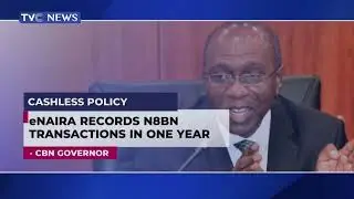 eNaira Records N8BN Transactions In One Year