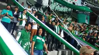 CURVA 1909 - CORITIBA X FIGUEIRENSE - SEMPRE COM O COXA