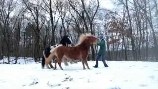 Lindsay and Domino at Liberty