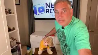 Dog Shirt Set Review & Unboxing    4K