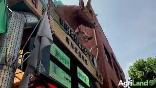 Majang Meat Market - South Korea's hub for beef and pork