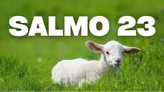 &iexcl;ADI&Oacute;S Miedo! Camina SIN TEMOR con el Salmo 23