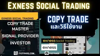 Обзор Exness: всё ли хорошо? Социальная торговля &mdash; как пользоваться системой Copytrade