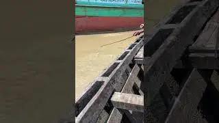 Unique catching fish with hook from the Padma River 🐟