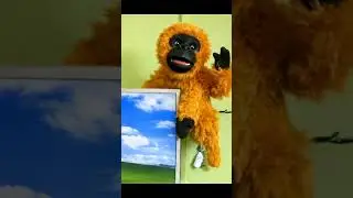 GORILLA VS MONKEY ANIME CONVERSATION #shorts #comedy