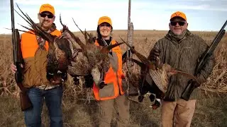 Pheasant Hunting Highlights- Fleet Farm Backcountry Sweepstakes Winner