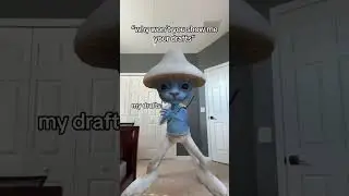 Smurf Cat Drafts #smurf #smurfcat #smurfcatmeme