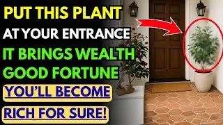 Every Rich Person Has This Plant at Their Entrance &ndash; It Attracts Endless Wealth Energy! | feng shui