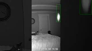 Look at that orb! #paranormal #ghost#orbs #orbfan