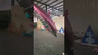 Interesting Solution: Inflatable Dolphin with Remote Control