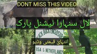 Lal Suhanra National Park Bahawalpur panjab pakistan #viral #vlog Faheem Discovery.world discovery.