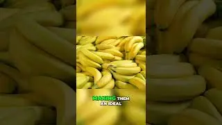 #Bananas #PreWorkoutFuel #NaturalEnergy #WorkoutBoost #HealthyFuel #BananaPower