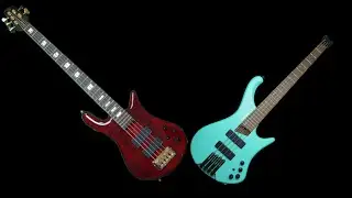 Bass Comparison - When scale worlds collide: Spector Euro 35
