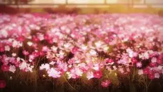 doxx & feint － the pink fields [slowed + reverb]
