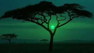 AfroBeat X AfroPop Instrumental 2019 || Melodic Urban AfroPop Beat - Afreeqa || Prod By Elliveq