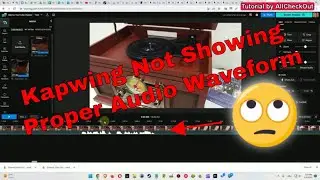 Kapwing Video Editor Not Showing Visible Audio (Properly) - How To Solve?