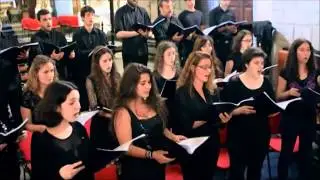 Santo -  F. Silva || Catedral de Viana