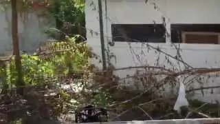 3374 E 134 Cleveland  44120