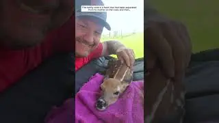 A heartwarming rescue story.#animals #rescue #wildlife #wildliferescue #lovestory #love #funny
