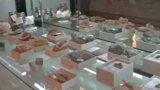 Gemstones & Fossil Display, Kinokuniya, 3 Dec 2016