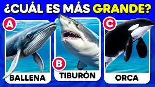 🧠 &iquest;Cu&aacute;nto Sabes de los ANIMALES MARINOS? 🐳🐬🐠 50 Preguntas de CULTURA GENERAL