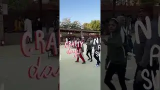 LLDC Shrujan