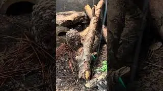 Я люблю свою работу!