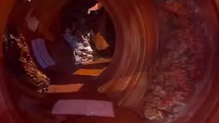 The Human Museum Is NOT What I Expected!