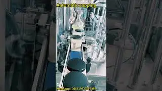 Full Automatic  Cap Lid Closing Pressing Sealing Capping Machine  With Feeding Device