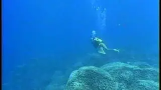 スキューバダイバーその子