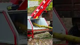 Arpalia Wood Processing Machinery: Educational Guide to Forestry Equipment