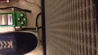 Ibanez WH10 & TS9 Demo