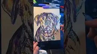 Drawing With Sharpie Markers &bull; How to Layer Colors to Create Depth &bull; #art #drawing #dogportrait #dog