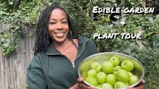 🌿 Indoor Jungle Plant Room Tour + Outdoor Edible Garden | Monstera, Pothos, Peace Lily & More!