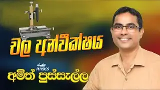 චල අන්වීක්ෂය