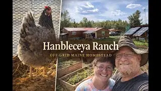 How Our Off Grid Homestead Got its Name (The Story Behind It)