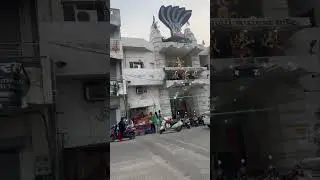 Urban Bites Jalandhar #fastfood #streetfood