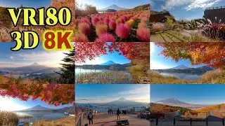 [8K VR180 3D ] 紅葉と富士山 Autumn leaves around Mt.FUJI,Yamanashi,Japan
