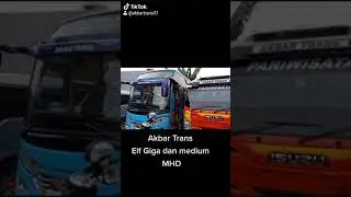 elf long 19 seat dan medium bus mhd 31 seat