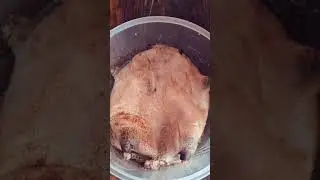Tangue grill&eacute;