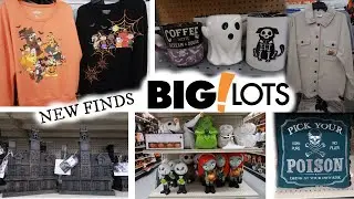 NEW FALL FINDS @ BIG LOTS / BROWSE WITH ME