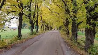 Laps' olen Karjalan