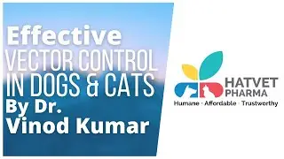 Effective Vector Control in Dogs & Cats By Dr. Vinod Kumar