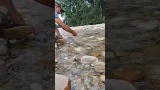 cool location shivalik ridge #shorts #trending #viral #viralvideo #uttarakhand 😘🥰🏞️