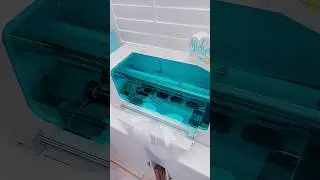 This DTF printer surprised me! 😱 I'm sharing my review of the Obziy DTF printer on my channel! AD