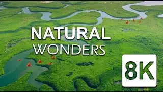 Our Planet - Stunning 8K 60fps with Nature Footage