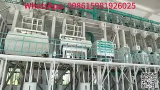 Large-scale grain production line installation site