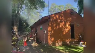 6 Animals Killed In Fire At Plumpton Park Zoo