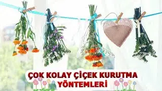 EVDE KOLAYLIKLA UYGULAYABİLECEĞİNİZ ÇİÇEK KURUTMA YÖNTEMLERİ